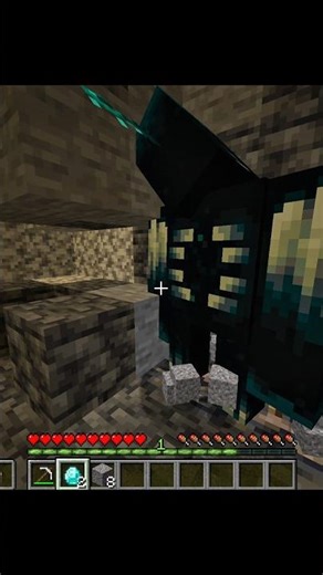 warden ne daru pi li #minecraft