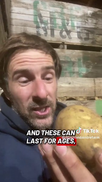 The Spud String Challenge 🥔#DownOnDaintreeFarm #FarmerLuke #fyp #thespudstringchallange @David Wheatley @spudman @Spudbros @Poppy Cooks @BackBritishFarmingNFU @Fekky @Diddly Squat Farm Shop @Radmore Farm @Farmers Guardian @Farmers Weekly @Merchants Fish & Chips @Copes Potatoes @Lancashire Lamb Boxes @sophiawheatley @Wallace Currie