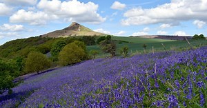 14 National Trust sites to visit in North Yorkshire and Teesside