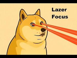 How Doge stays Motivated: Learn by Doge