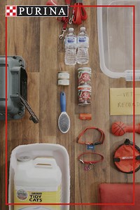 172K views · 652 reactions | Having an emergency kit can make a huge difference if faced with hurricanes, wildfires or tornados. Purina cares about you & your pet’s safety – learn how to prepare for natural disasters on https://www.purina.com/summer. | Purina | Facebook