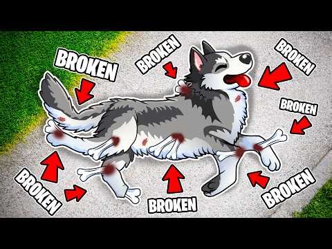 Breaking Every Bone As a Dog In GTA 5...