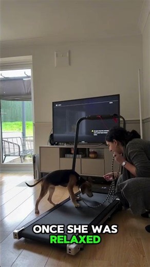 Something fun you can teach your pup in under 15 minutes 🐾