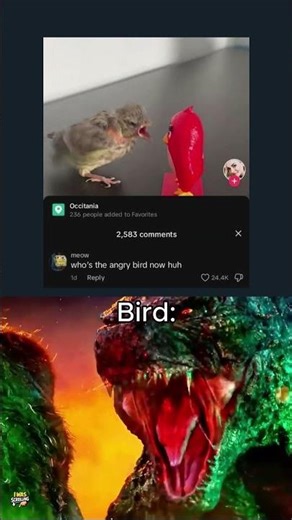 Who is the Angry Bird now??