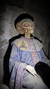 6.7M views · 155K reactions | #AlienDiscovery #antarcticasecrets #extraterrestrial #UFO #theundiscovered #conspiracy #expedition #AncientMystery #ufology | the undiscovered | Facebook