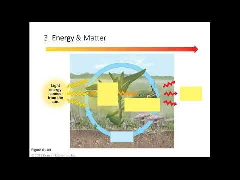 Chapter 1 (part 1) - What is life?