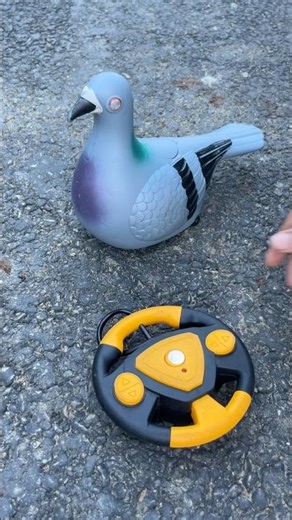 Remote Control Realistic Pigeon Bird Dako #shortsfeed