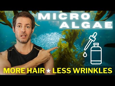 Stop Thinning Hair & Wrinkles Naturally – The Power of MICROALGAE