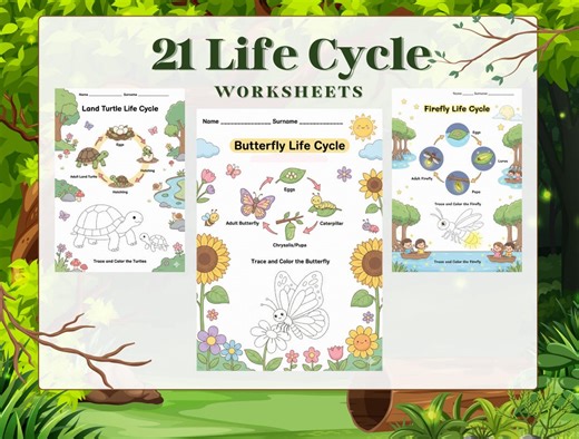 21 Life Cycle Activity Printable Worksheets | Trace, Color & Learn Preschool and Kindergarten - Etsy Canada