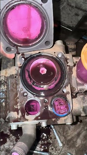 🔥 Tractor Sprayer Pump DISASTER! 💥 Torn Bertolini Membrane EXPOSED 😱🚜