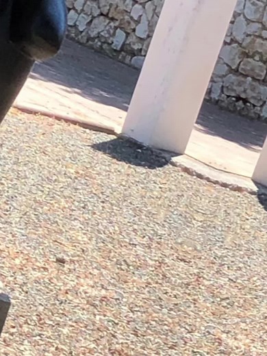 Macedonia is Albania🫡 #albania