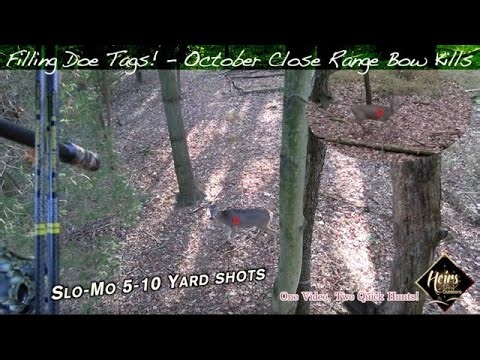 Shooting BIG Does at Close Range | PA Bow Hunting | Two Mature Doe Hunts!