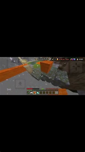 This invis bug is so annoying