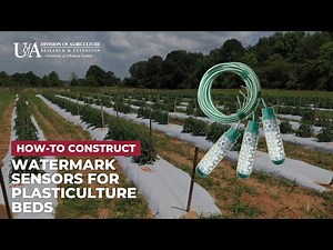 How-To Build Watermark Sensors for Plasticulture Beds