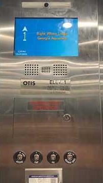 Creaky OTIS Gen3 Traction Elevator - Right Whale Lodge, Georgia Aquarium - Atlanta, GA