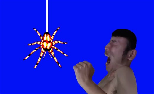 害怕蜘蛛的男人.BB