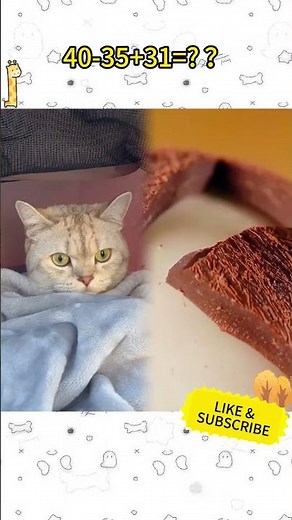 #pov #funny skit #improv #laughoutloud #acting #storyline #fyp #foryoupage #duet #viralhit #fypage