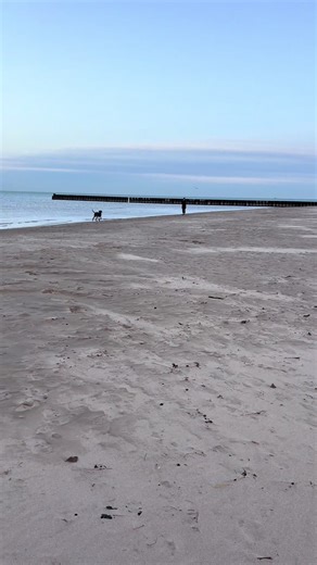 Seeing three birds often symbolizes unity, balance, protection, or transformation, with meanings varying by culture, but generally pointing to harmony (mind, body, spirit), good fortune (as 3 is lucky), divine messages, or alignment for creativity and abundance. #fyp #chicagobeaches #solace #peace #3birds