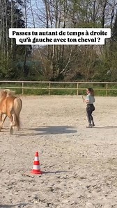 25K views · 436 reactions | Le côté droit du cheval, ce mal aimé…...