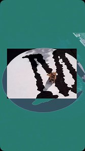 Mayfield Records Ltd was established in October 2014 with the...