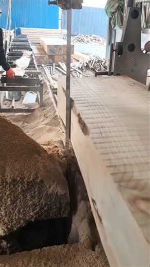 Automatic Wood Cutting #shorts #ytshorts #youtubeshorts