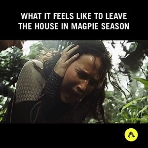 THE EYES DON'T WORK THE EYES DON'T WORK. | pedestrian.tv