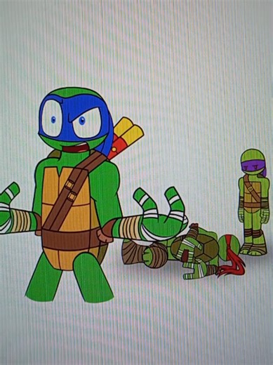 Teenage Mutant Ninja Turtles: Raph vs. Mikey Showdown