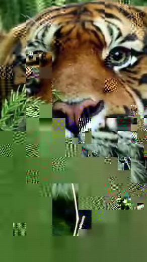 26K views · 481 reactions | Don’t let the music stop with Galaxy S10, Watch Active and Buds. Seamlessly connect your Galaxy. | Samsung | Facebook