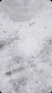 Snow day!!!!!!!! | Bart Millard