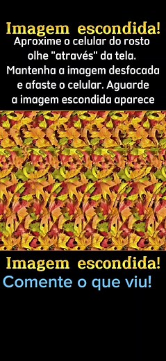 Estereograma no TikTok