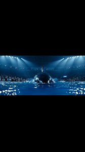 #orca #jessica | Luna Ava