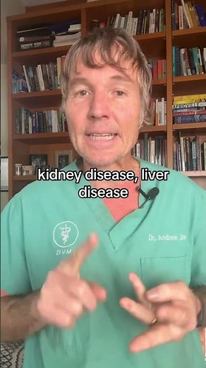 Best Cat Food and Natural Home Remedies: Free Cat Webinar!