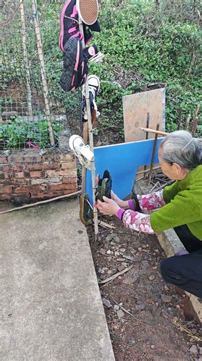 Hanging shoes on a forked tree branch, the shoes dry quickly.