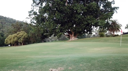 Summer at Ashgrove Golf Club. A welcoming place to enjoy a game of golf over the Christmas and New Year break. Bookings and visitor information are available via the Club website. | Ashgrove Golf Club