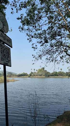 vicky tales | vlogger on Instagram: "Kumizhi lake,near Chennai❤️✨ Share the video to ur frnds and family🤙🏻📩😉 Kumizhi Lake is a tranquil, restored water body near Vandalur-Kelambakkam High Road, on the outskirts of Chennai, popular as a nearby nature getaway. Recently rehabilitated through a collaborative effort, this scenic spot features a, hillside backdrop, attracts diverse birdlife, and serves as an important, quiet habitat for local biodiversity.🎼🤍✨ Location: Situated in Chengalpattu d