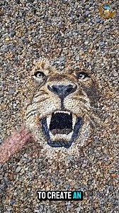 2.6K views | Stone stacking art, simple yet mesmerizingly beautiful | English Success | Facebook