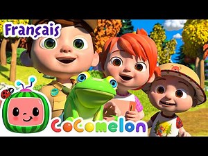 Une promenade | CoComelon en Français | Chansons pour bébés