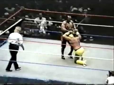 WWF Live House Show (Fan Cam): MSG Madison Square Garden 11 26 1994