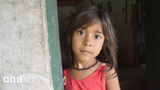 They are killing our forest, Brazilian tribe warns