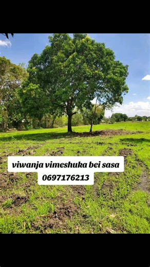 kilimanjaro Tanzania