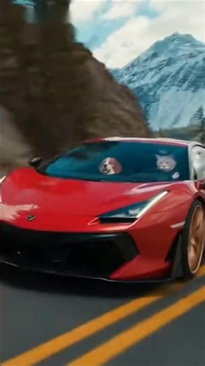 Mountain Rush — 猫神速驾 | 驾驶神猫带你飞 #Shorts