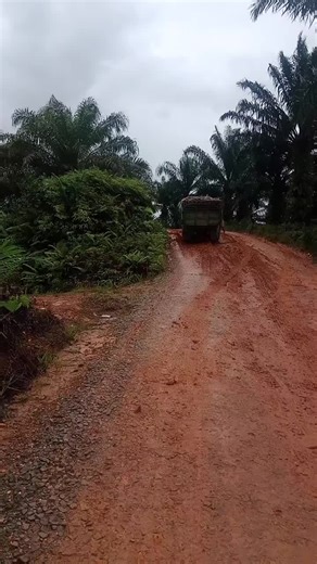 srigala landak (@adrian.gokiel)’s videos with original sound - Latipah