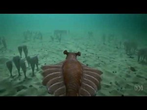 Australia: The Time Traveller's Guide | Anomalocaris | Starts Sunday, 25 March, 7.30pm, ABC1