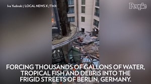 Huge Aquarium Holding 1,500 Tropical Fish Bursts Open