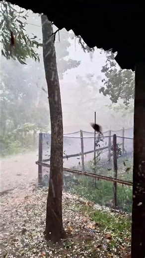 Biggest Hailstones Ever Seen in Sylhet | Bangladesh Hailstorm Viral Video
