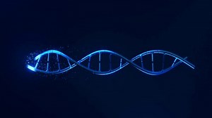 Dna 3d Animation On Dark Background Stock Footage Video (100% Royalty-free) 1106036393 | Shutterstock