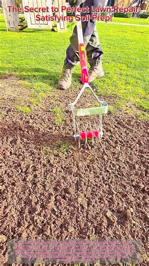 The Secret to Perfect Lawn Repair: Satisfying Soil Prep! 🌱✨