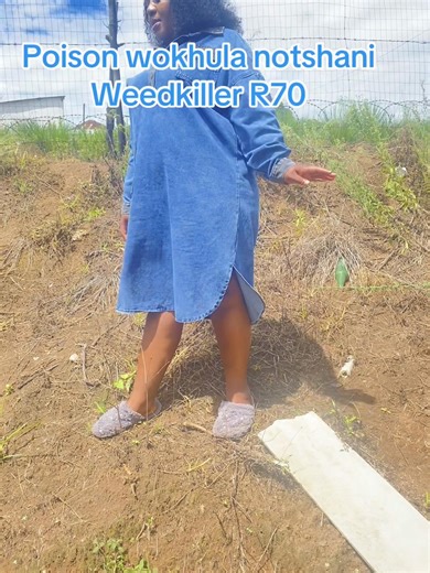 Understanding R70 Weed Killer for Wheat Control