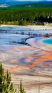13K views · 100 reactions | The Grand Prismatic Spring Overlook in Yellowstone National Park is a little challenging to get to, but worth the view! #yellowstonenationalpark #grandprismaticspring | Where The Road Wanders | Facebook
