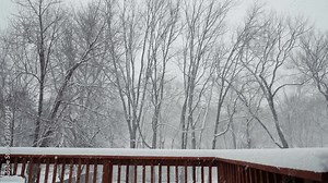 Snowflakes falling down on a wooden deck in the winter time with bare trees in the background.